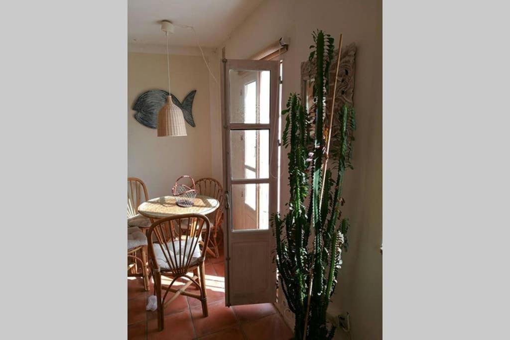 Apartamento Con Espectaculares Vistas! 타리파 외부 사진